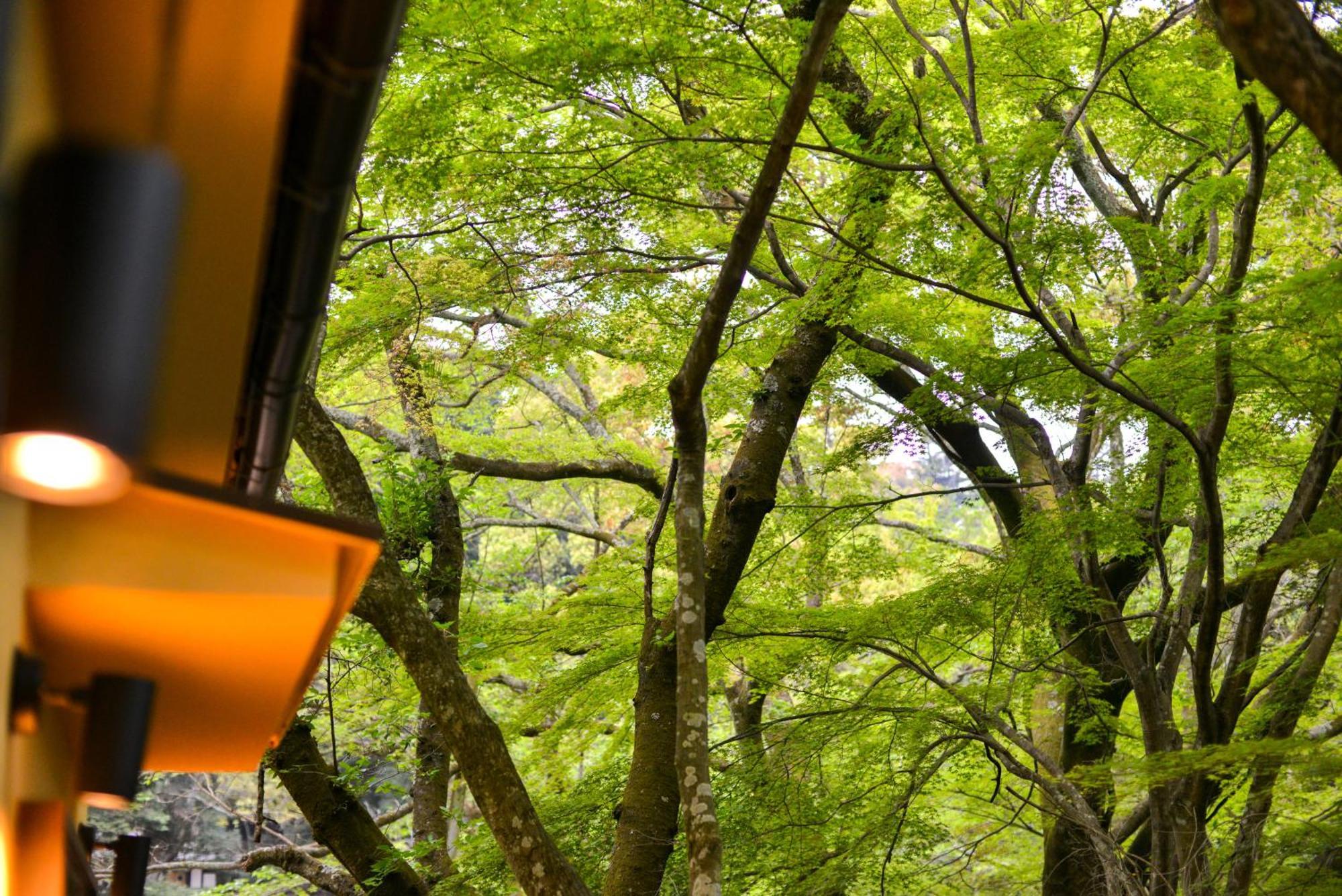 Villa Hamorebi 하쓰카이치 외부 사진